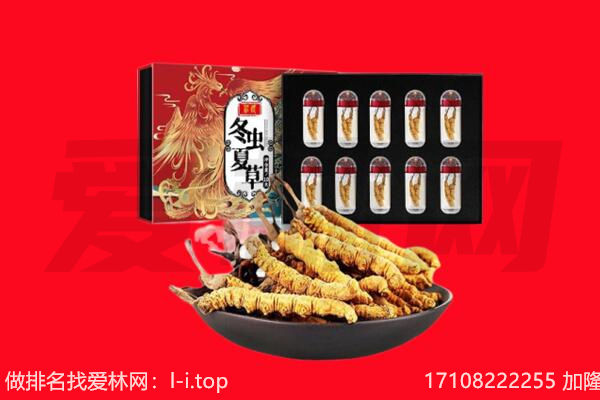 成都市武侯回收虫草.jpg